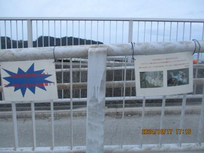 豊浜釣り桟橋１０月中旬 初めてのハタンポ