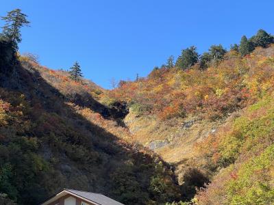日本の紅葉名所100選に選ばれている白山白川郷ホワイトロード ドライブ旅行記