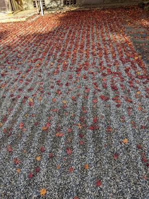 22　比叡山の紅葉　門前町坂本から延暦寺