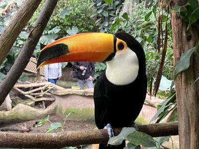 那須どうぶつ王国と那須高原の宿山水閣へ
