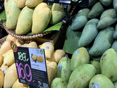 タイ(9)扉が開かれアンジーと／パタヤ