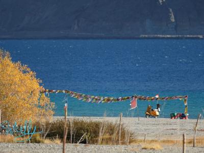 今年もラダック(旅編)