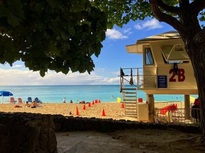 2023年のホノルルマラソン観戦⑤実質最終日も遊び回ろう!お土産いっぱい!