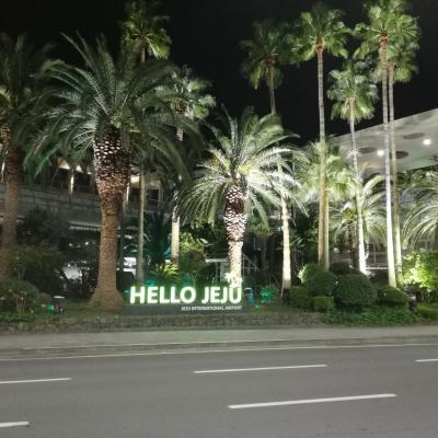 済州島を１日で巡る旅