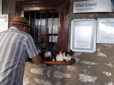 2024 10月 2度目のトルコ1人旅①~セルチュク編~