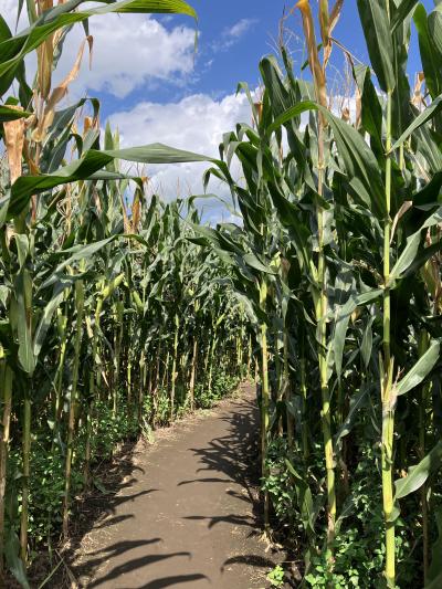 那須でのワーケーション2024夏