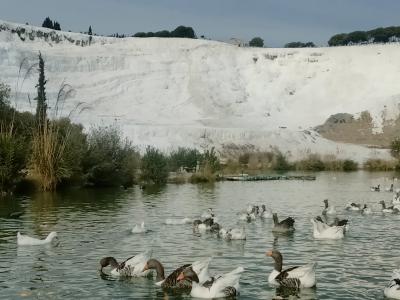 2024 10月 2度目のトルコ1人旅②~パムッカレ編~