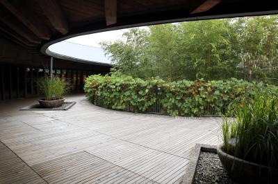 初めての高知県2泊3日の旅～2日目：牧野植物園・高知城・ひろめ市場
