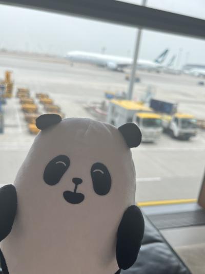 キャセイビジネスで行く香港旅！完結編。～ラウンジから復路の機内食～