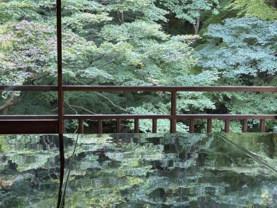 京都旅行2024～3日目～