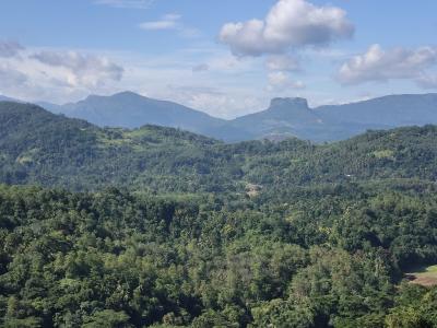 スリランカ6日間⑥　ピンナワラ・コロンボ