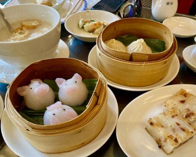 横浜中華街＆山下公園2024.4月「杉山清貴＆オメガトライブ40周年ファイナルツアー2024」萬珍樓點心舗/山下公園花盛り