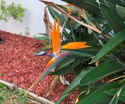 2023年ゴールドコースト(Part4 終)