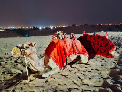 キャセイのビジネスクラスで行く!ドバイ3泊5日!その3ー2日目は観光するよー