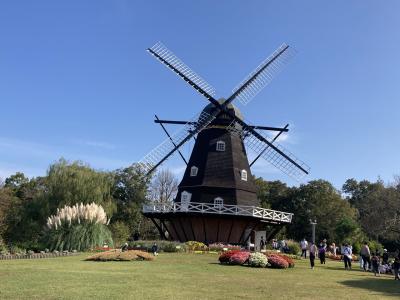 ふなばしアンデルセン公園は船橋市民デーは、船橋市民だけでなく来園者全員を無料開放と太っ腹なんだね、それで行ってきました。