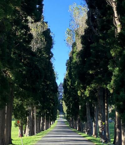 函館　修道院　コケシ Yahoo!オークション - 函館 トラピスト修道院 シスター こけし