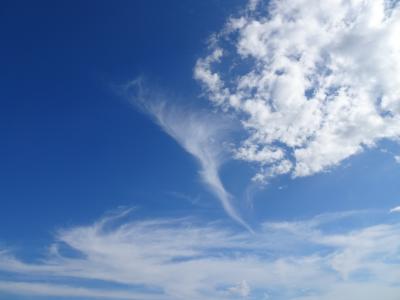 飛ばないで函館≡≡≡ヽ(* ﾟ ﾟ)ﾉ木古内でお墓参り☆.*˚2024大人の休日倶楽部パス【３】