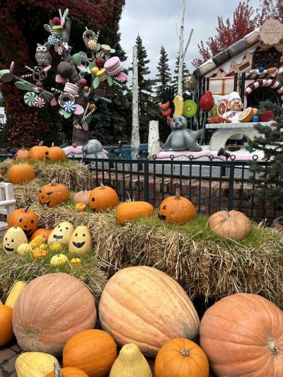 2024 地元民が行く　秋の小樽　札幌　地元グルメ散歩