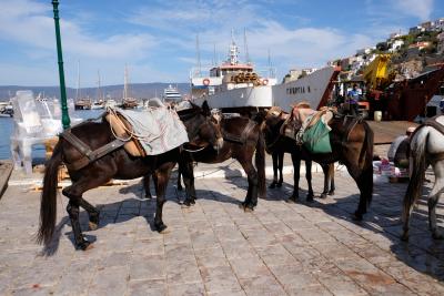足腰と胃に優しくなかったギリシャ(6日目サロニコス湾3島クルーズ)