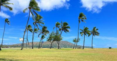 202408鶴亀家のハワイアンウェディング協奏曲③8/20六文銭パスで三途の海へ?