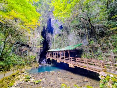 萩と秋芳洞を巡る！1泊2日山口ひとり旅 Day2 (後編)