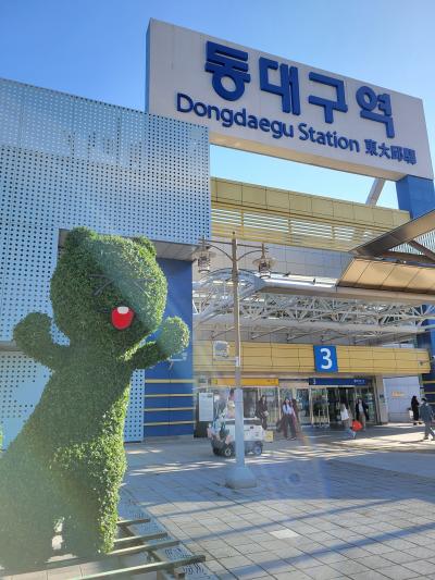 韓国半周の旅 5日目:安東から大邱へ シティツアーバスで観光