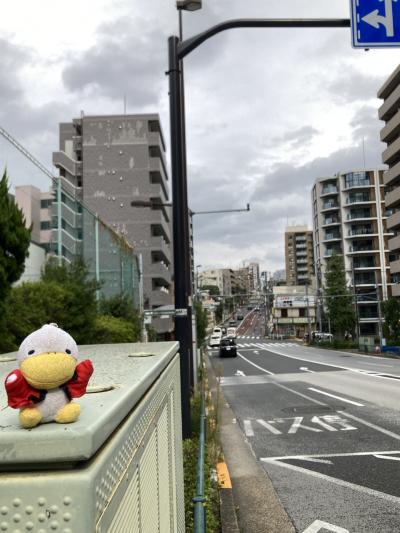 かつての谷端川とNamachaんbrewingのお店を巡って。