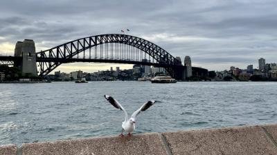 0歳児とオーストラリア縦断旅　その７｜シドニー 前編