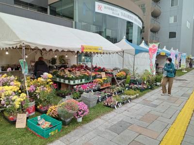 秋の十勝・帯広　グルメと温泉の旅５日間　其の三