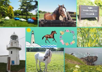 馬好きの親戚と行く支笏湖・洞爺湖・日高♪ドライブ旅行☆･ﾟ:*☆2～３日目は親戚にお付き合い☆.:ﾟ襟裳岬へも♪