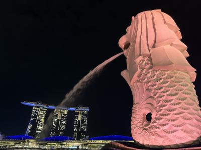 【シンガポール】振休フル活用の旅⑤