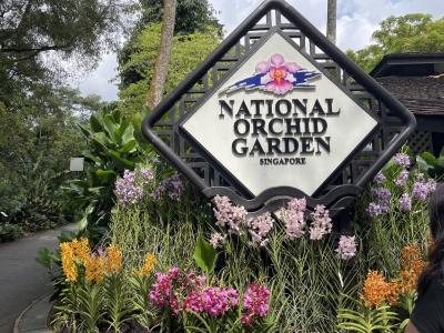 仲良し女子3人組シンガポールを楽しむ③