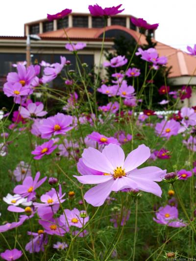 lrg_11939086.jpg?updated_at=