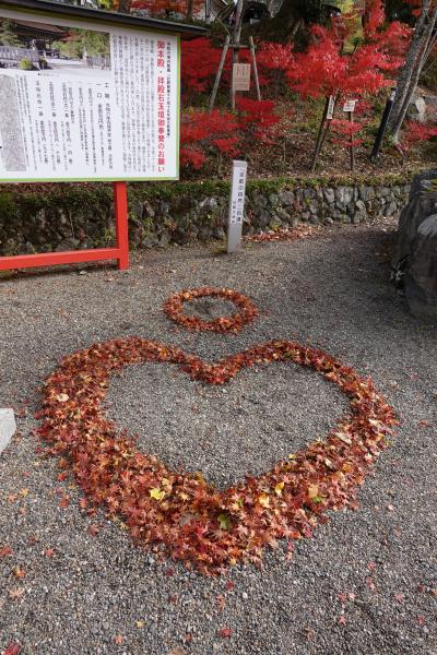 京都中心部を避けて楽しむ紅葉(その4)