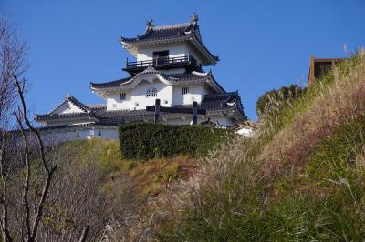 日本百名城攻略の旅…掛川城・駿府城