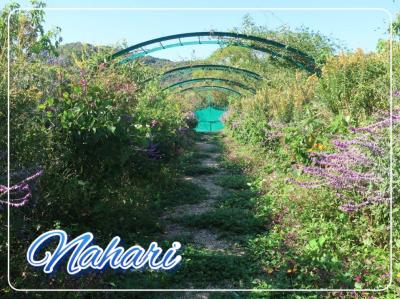 秋の東高知へ vol.1【三宮で晩餐会＆奈半利散策】　2024年11月