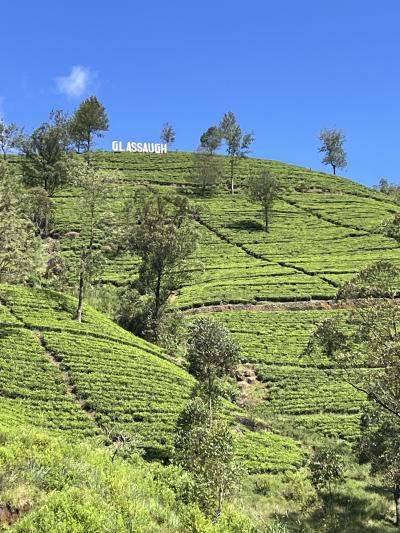 スリランカ鉄道&アーユルベーダの旅3日目