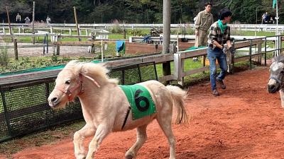 埼玉県民は1人無料キャンペーンだったから、富士サファリパークへ行って競馬歴51年のFUKUJIROがサファリダービーを的中しました