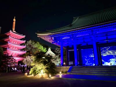 博多旧市街ライトアップウォーク2024 ☆ 千 年 煌 夜 ☆