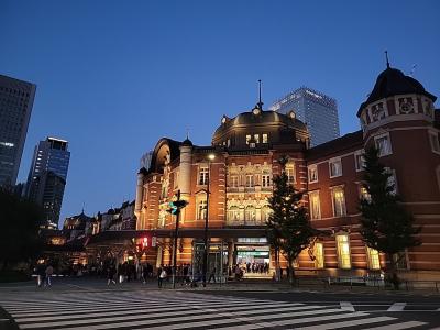 初どこかにマイルで1泊東京へ