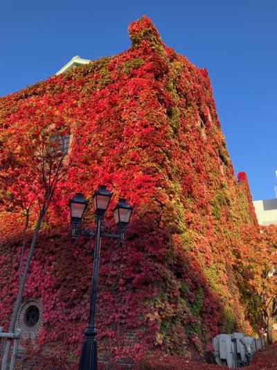 2024 晩秋の札幌