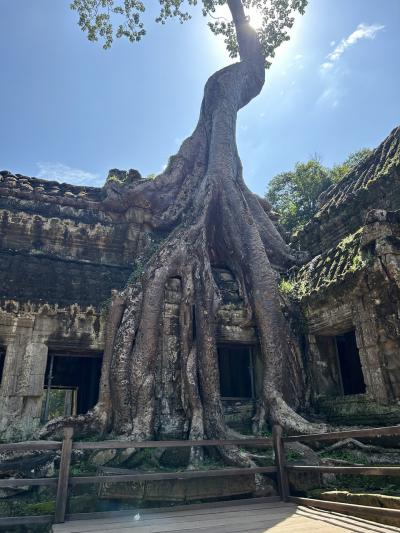 カンボジア早朝から世界遺産を巡る旅~アンコールワット遺跡群、シェムリアップ市内~②