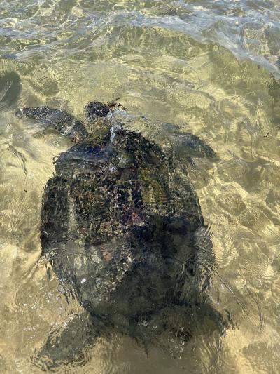 スリランカ旅行6日目