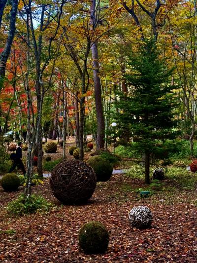 今年の紅葉🍁は、どうでしょう!?