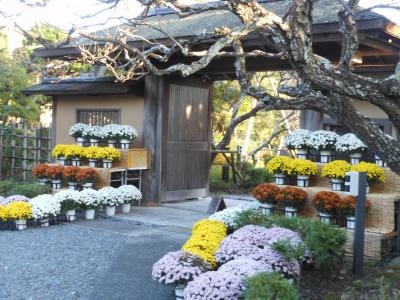大磯　旧吉田茂邸の日帰り旅と新宿での夕食