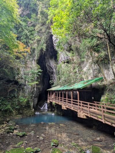 東京九州フェリーで行く北九州、山口の旅⑥秋芳洞、秋吉台、新山口
