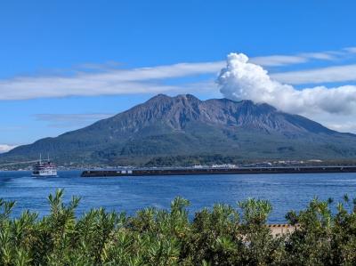 24　桜島を愛でる　