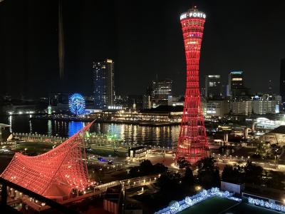 大阪神戸高松・新幹線カーフェリーレンタカー飛行機の旅 前編