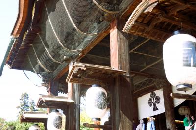 秋の信州ひとり1泊2日の旅(前編)~新幹線で東京から長野の善光寺へ