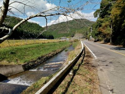 “オクオカ”屈指の秘境…自然あふれる鳥川町をウォーキング